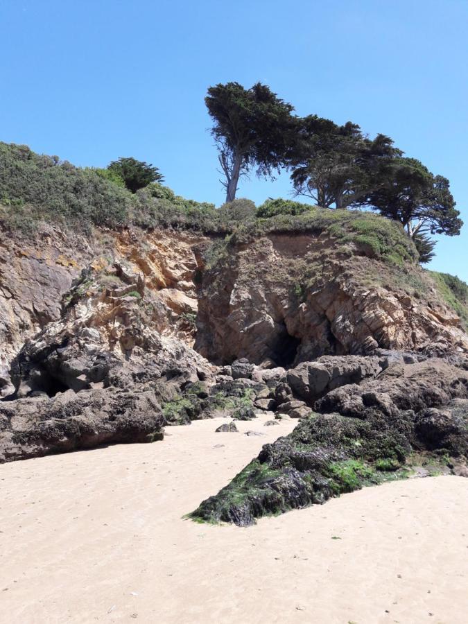 Le Studio Du Ris Douarnenez Εξωτερικό φωτογραφία